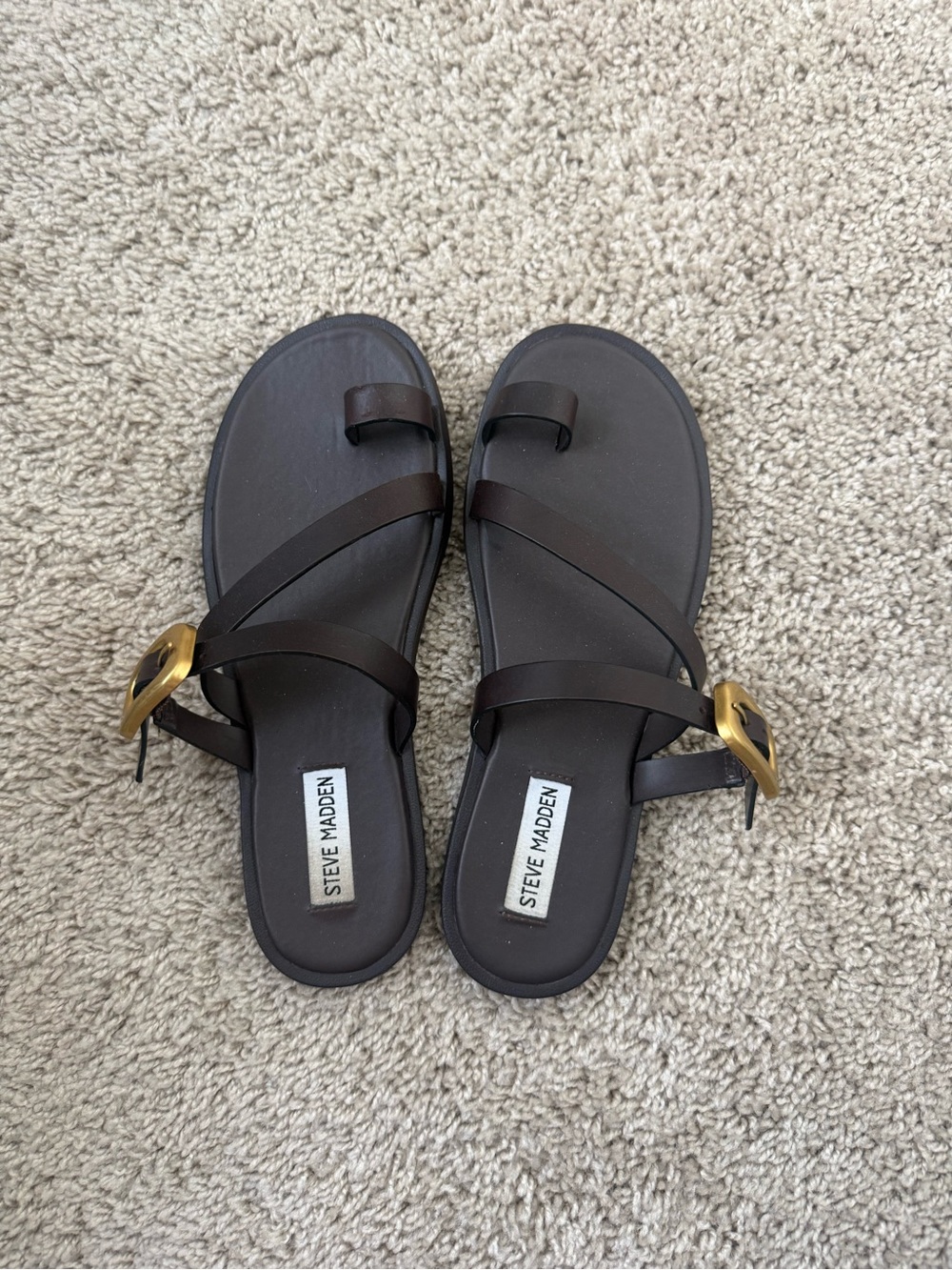 Steve Madden Women’s Shele Brown Leather Buckle Sandals